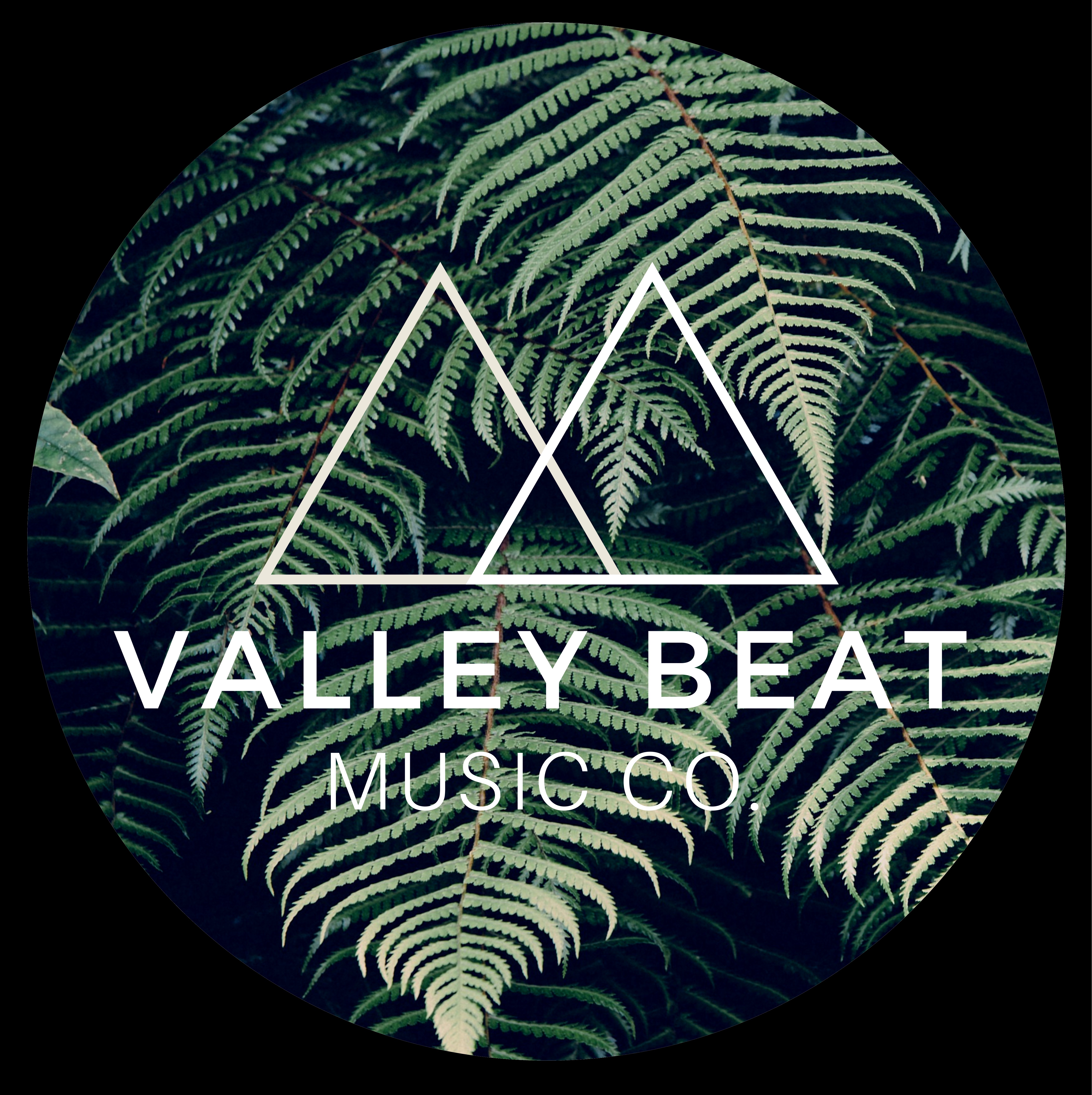 Valley Beat Music Co.